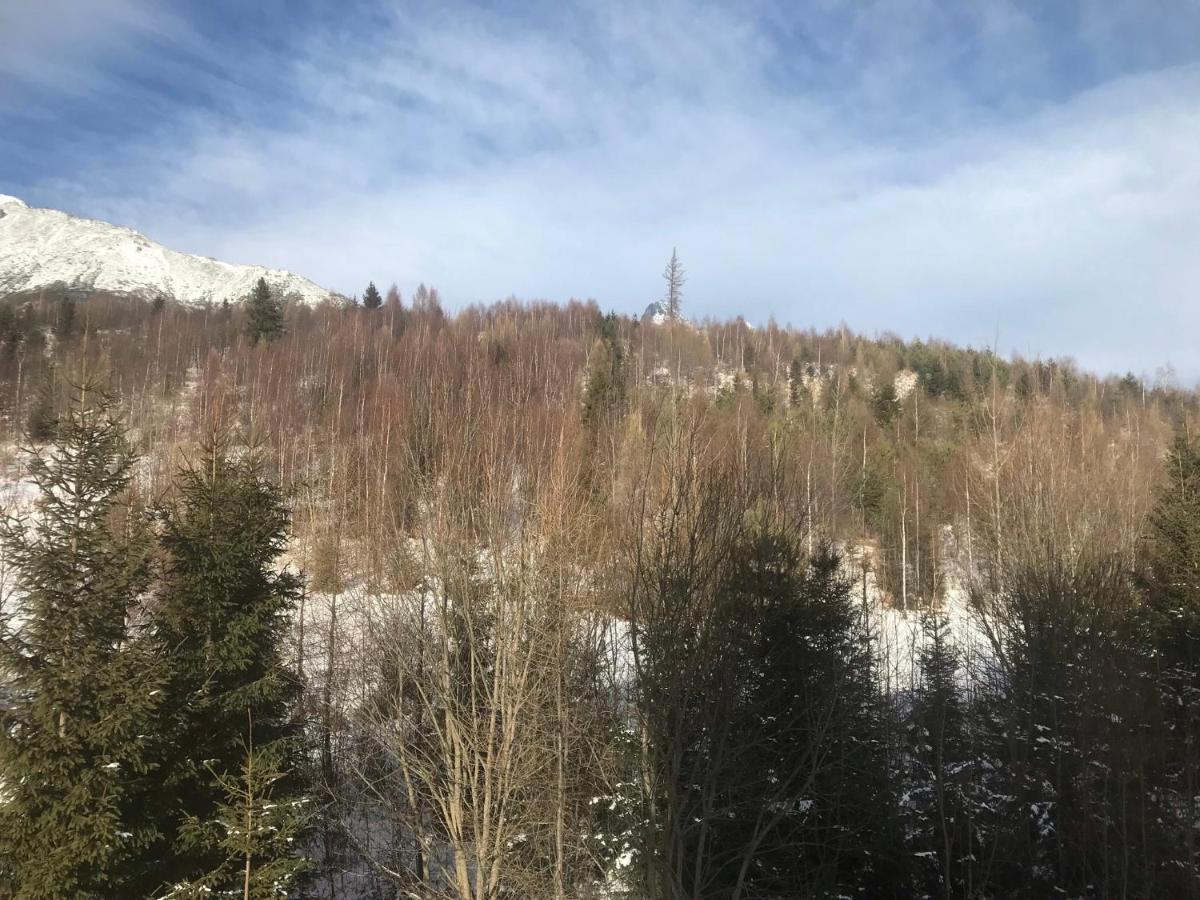 Apartmány Vila Vlasta Vysoké Tatry Kültér fotó