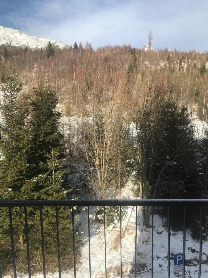 Apartmány Vila Vlasta Vysoké Tatry Kültér fotó