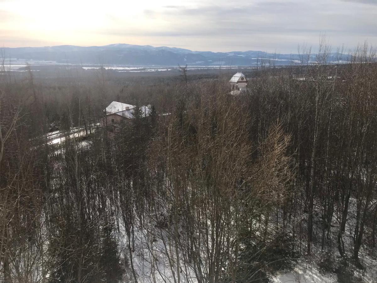 Apartmány Vila Vlasta Vysoké Tatry Kültér fotó